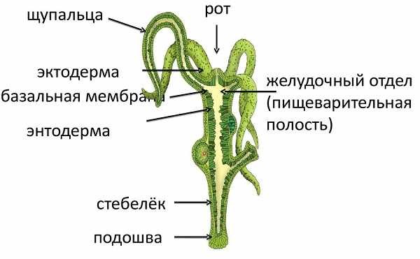 Кракен наркоман